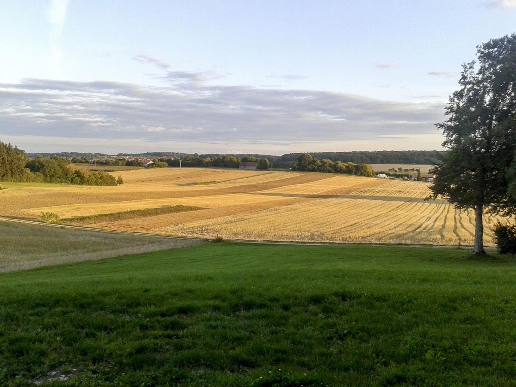 Hof am Horn - Ferienwohnungen mit Aussicht in die Natur Laichingen Exterior foto