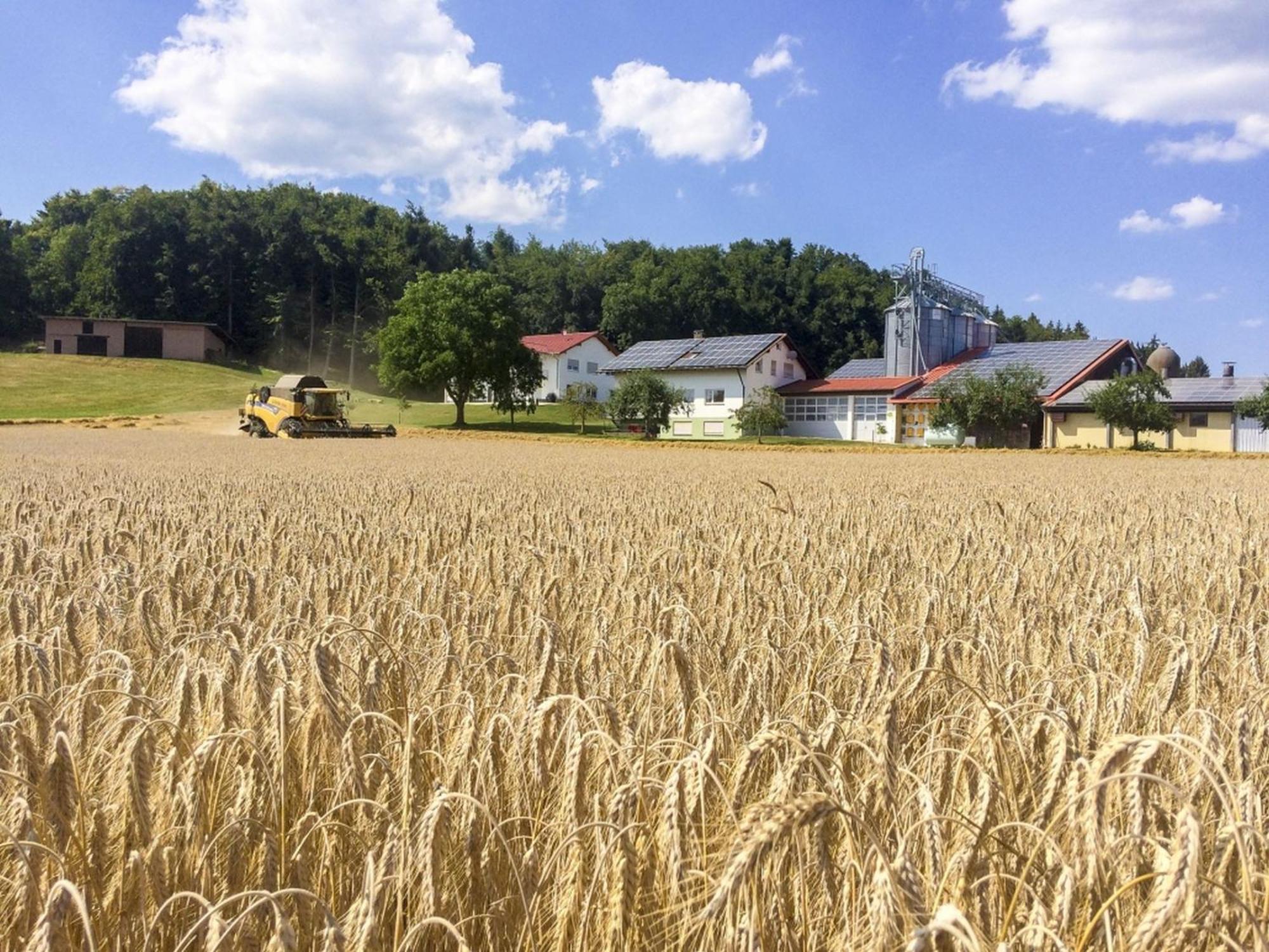 Hof am Horn - Ferienwohnungen mit Aussicht in die Natur Laichingen Exterior foto