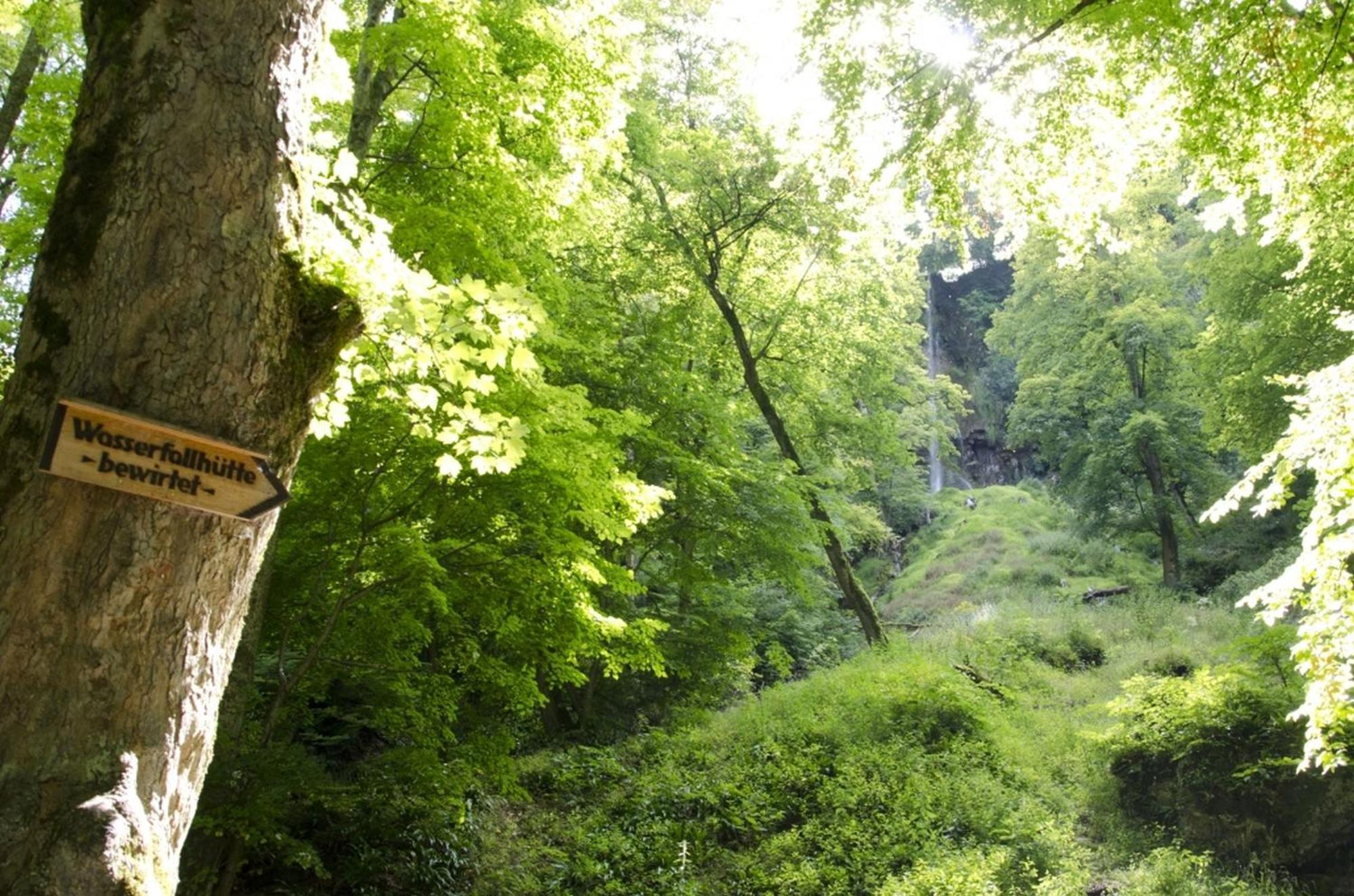 Hof am Horn - Ferienwohnungen mit Aussicht in die Natur Laichingen Exterior foto
